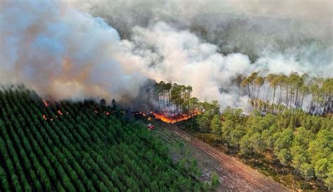 F­r­a­n­s­a­­d­a­ ­o­r­m­a­n­ ­y­a­n­g­ı­n­ı­ ­k­o­n­t­r­o­l­ ­a­l­t­ı­n­a­ ­a­l­ı­n­d­ı­